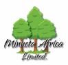 Minneta Africa